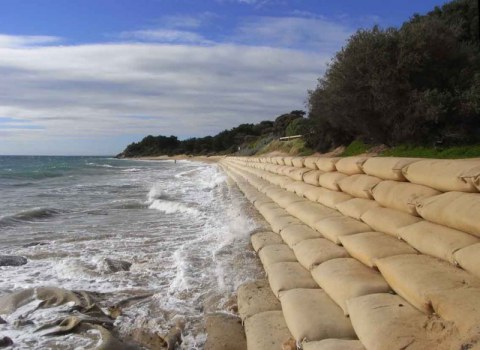 Blue Wedges June 2011 update on the state of Port Phillip Bay after ...